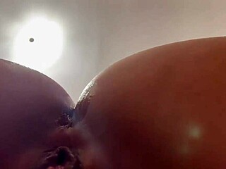 Martii Aciar Norteña用深喉和狗爬式骚扰继兄