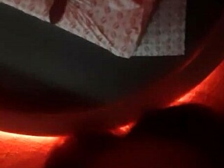 gatita xxx amateur shemale performance