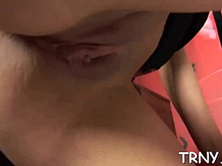 Hey, watch this shemale blowjob hardcore action