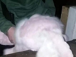 Me Fucking My Bunny Hard in Friend's Garage Tonight