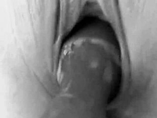 danielle roy and snoopy88 fuck with toys