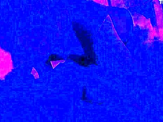 Jjloco Gets Blowjob From Blonde