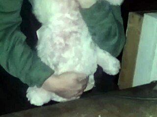 Me Fucking My Bunny Hard in Friend's Garage Tonight