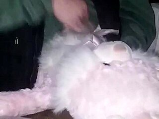 Me Fucking My Bunny Hard in Friend's Garage Tonight