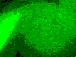 mature leila getting it on doggy style