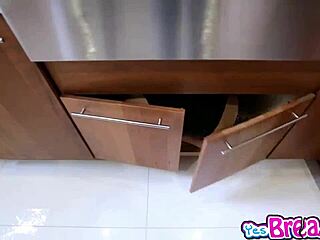 Cutie Ivy Stone Sucks Big Cock