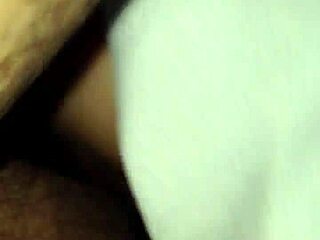 业余伴游的生活展开