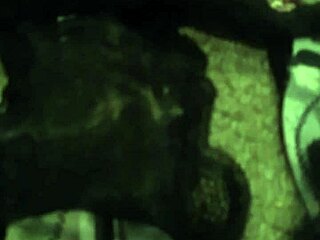 这是有史以来最好的呻吟性爱吗？