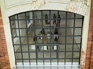 want to join our lesbian party with strap-on?