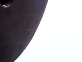 The process of taming a pet in leather involves patience and consistent training techniques.