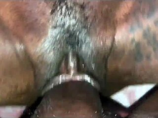 قصي شورتي، كسي سمين أوي! 😜