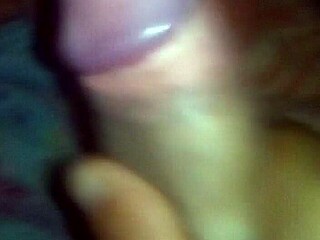 what's the vibe in vibrant brasil today?