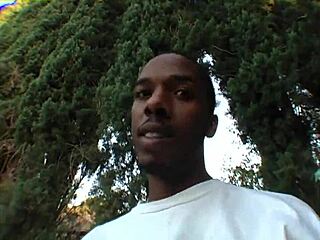 Fly Bitches Vol 2 Scene 13 - Xvideos Com