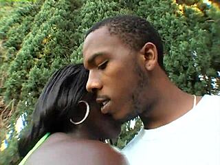 Fly Bitches Vol 2 Scene 13 - Xvideos Com