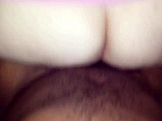 Bbw Bunda Enorme Sentando With Interracial Fat Ass Action