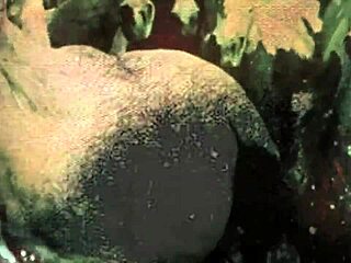 Dark Lantern Entertainment révèle les secrets vintage de Petmania