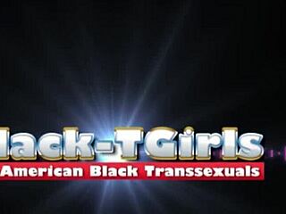 Black Tgirls The Amazing Mari Masturbating Solo