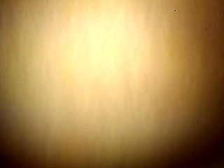 i fuck yella bone's wet bbw pussy hard