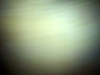 i fuck yella bone's wet bbw pussy hard