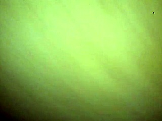 i fuck yella bone's wet bbw pussy hard