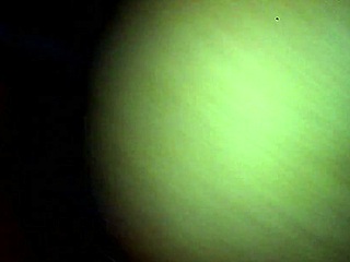 i fuck yella bone's wet bbw pussy hard