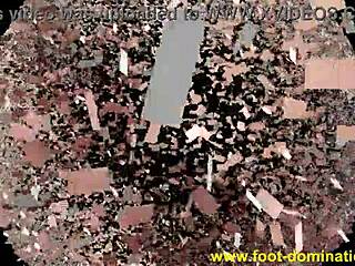 stomping femdom session with young mistress