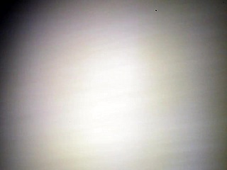 i fuck yella bone's wet bbw pussy hard