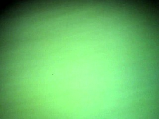 i fuck yella bone's wet bbw pussy hard