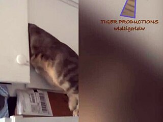 hairy pussy funny comic