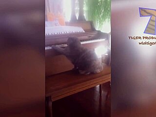 hairy pussy funny comic