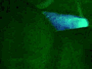 丰满黑人弯腰后入式