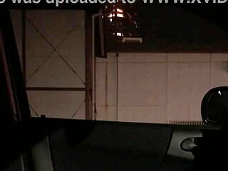 車内露出 asian japanese flashing cock