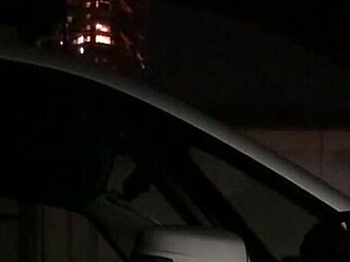 車内露出 asian japanese flashing cock