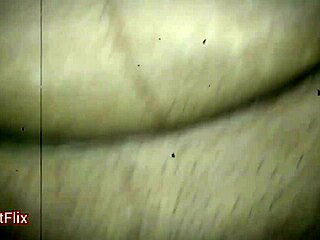 अरे, हॉट देसी गांव के जोड़े रैंच पर जंगली होते देखना चाहते हो?