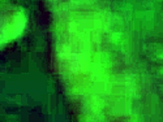 wet pussy new toy love the curve 😍