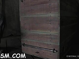 Gemuilkorfde brunette babe heeft wild speelgoedplezier nodig