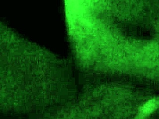 watch this newbie take deepthroat and anal with creampie finish