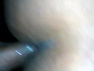 the story of black shemale amateur with ass and cock