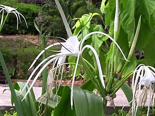 milana g is a cute blonde model with a swimsuit fetish, showing off her long legs in a bikini