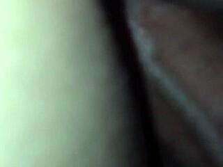 creampie homemade with amateurs