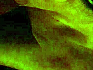 Check out this blowjob! 😏