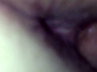 creampie homemade with amateurs