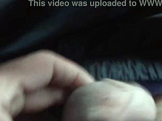 Outdoor Video Capture From January 29, 2018 At 12:13 PM