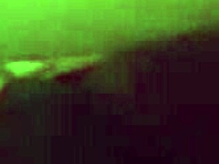 Blonde Milf Gets Ravished After Receiving Flowers!