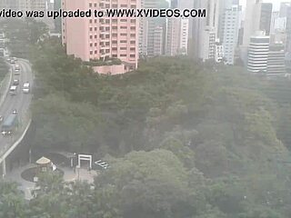 The maid cleans the house efficiently.