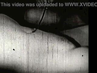 Mi vida secreta, cuentos del boudoir victoriano