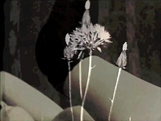 My Secret Life Tales From A Victorian Boudoir