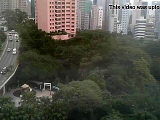 The maid cleans the house efficiently.