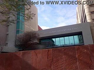 i arrest gibby for porn but it turns best