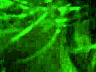 Lebanese star turns into a wild arab whore for the night. Her horny antics as a slut captivate every eager eye.